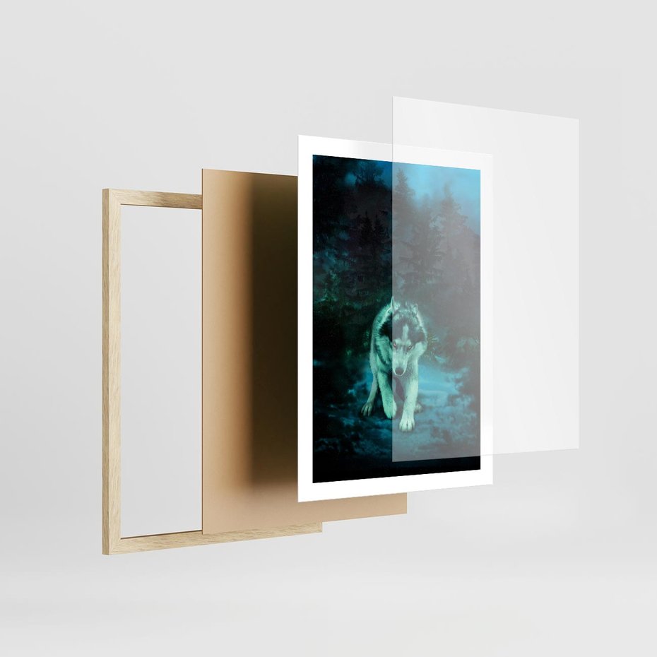 Plakat w ramie 50x70 - Siła i wdzięk natury - wilk, husky - rama drewno