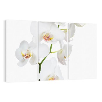 Obraz na płótnie 120x80 - Ekskluzywny Relaks - storczyk, spa