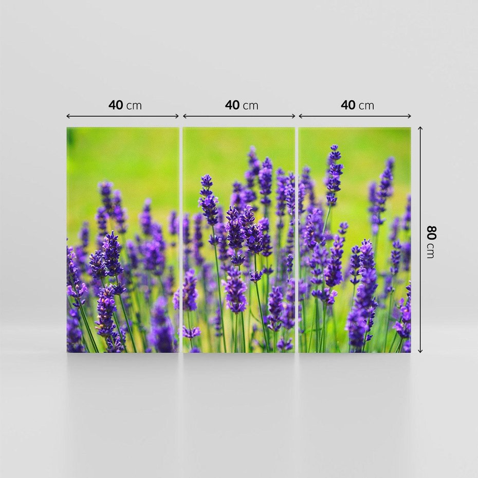 Obraz na płótnie 120x80 - Lawenda w naturze - lawenda, kwiaty