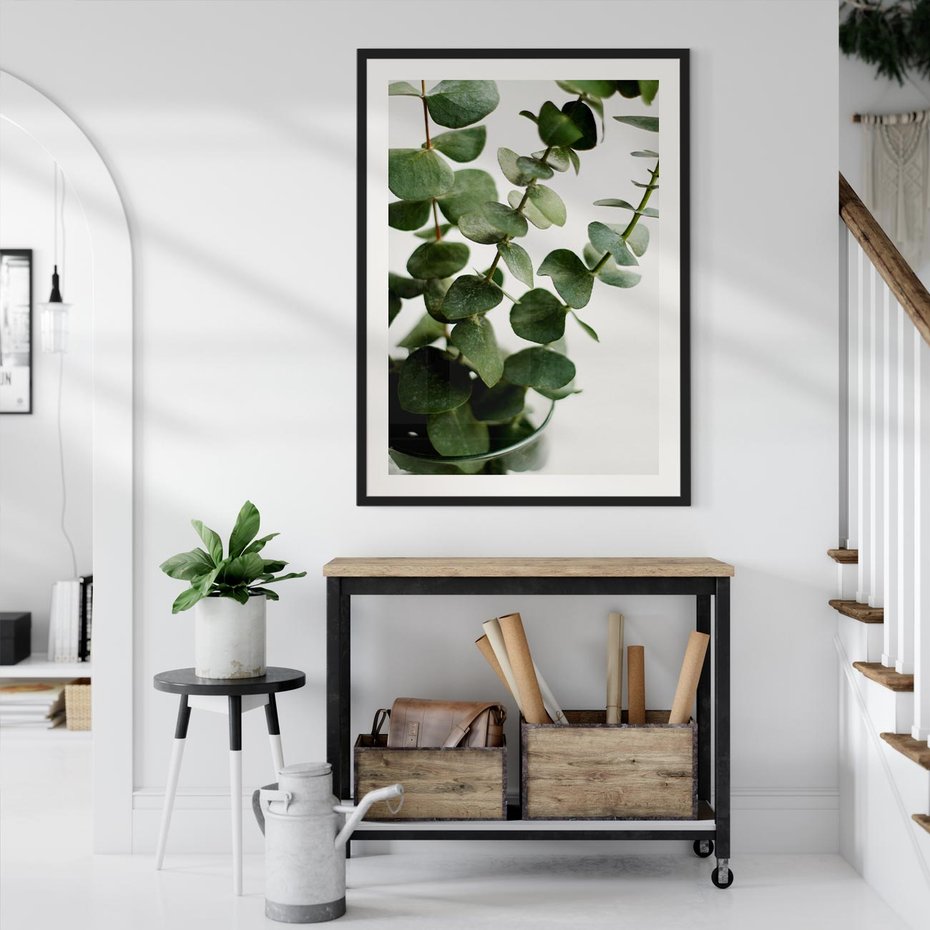 Plakat bez ramy 21x30 - Zielone eukaliptusy - eukaliptus, liście