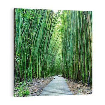 Obraz na płótnie 70x70 - Spacer wśród lasu - ścieżka, las