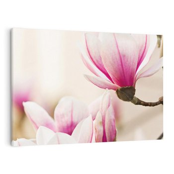 Obraz na płótnie 100x70 - Urok Magnolii - magnolie, kwiaty
