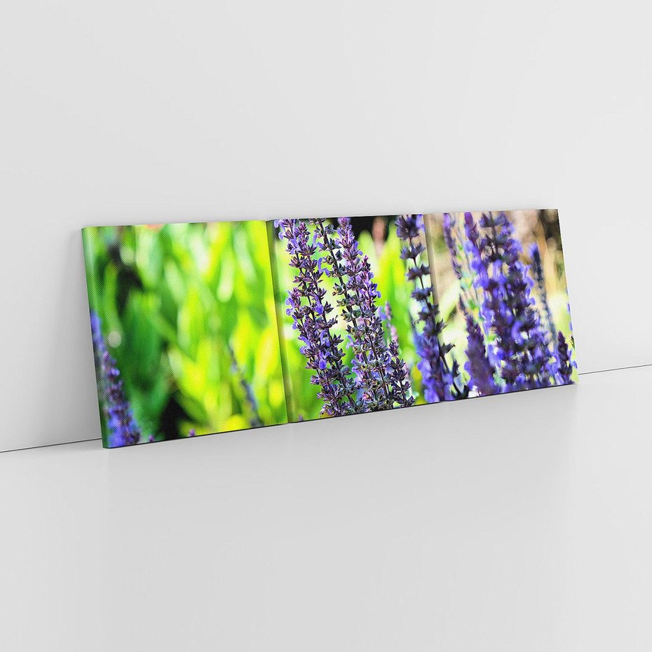Obraz na płótnie 120x40 - Ogród Lawendowy - lawenda, kwiat