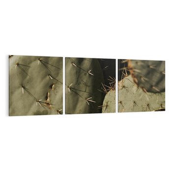 Obraz na płótnie 120x40 - Urok Egzotyki - kaktusy, boho