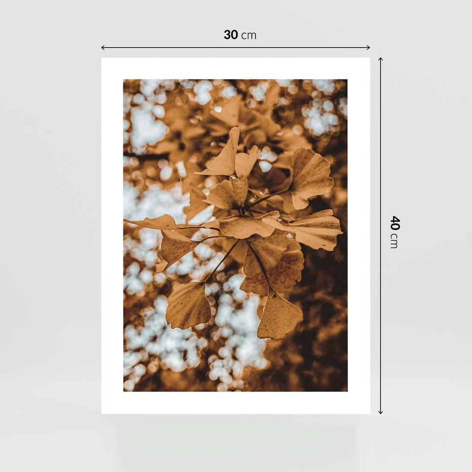 Plakat bez ramy 30x40 - Nostalgiczny Miłorząb - miłorząb, liście