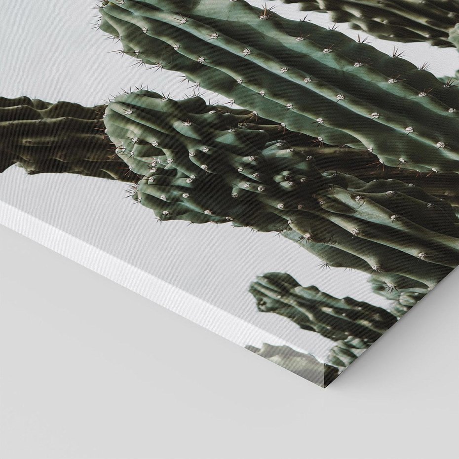 Obraz na płótnie 30x30 - Boho oaza wśród kaktusów - kaktusy, pustynia