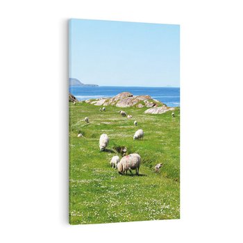 Obraz na płótnie 70x100 - Górskie Owce - góry, owce