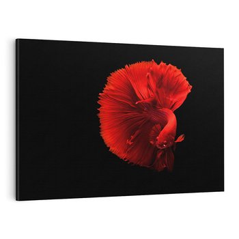 Obraz na płótnie 100x70 - Ryba wśród fal - ryba, morze