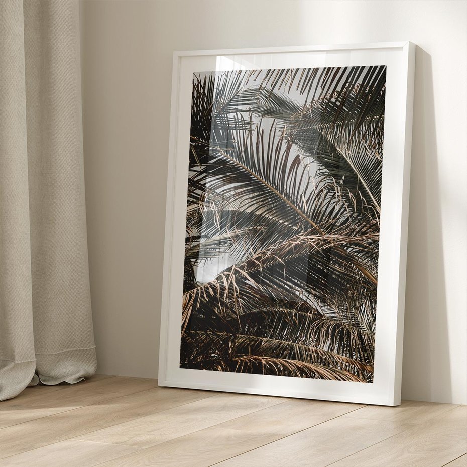 Plakat bez ramy 21x30 - Liściaste Palmy - palmy, drzewa palmowe