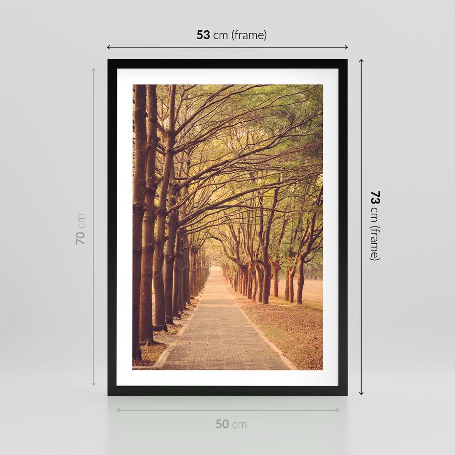 Plakat w ramie 50x70 - Wędrówka między drzewami - droga, drzewa - rama czarna