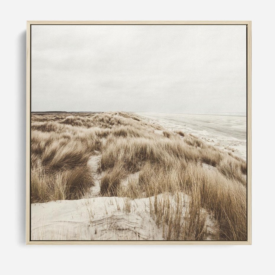 Obraz w ramie 50x50 - Nadmorskie Wydmy - fotografia, kolory sepii - rama drewno