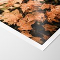 Plakat bez ramy 40x50 - Ciepło Jesieni - jesienne pomarańczowe liśćie, jesień