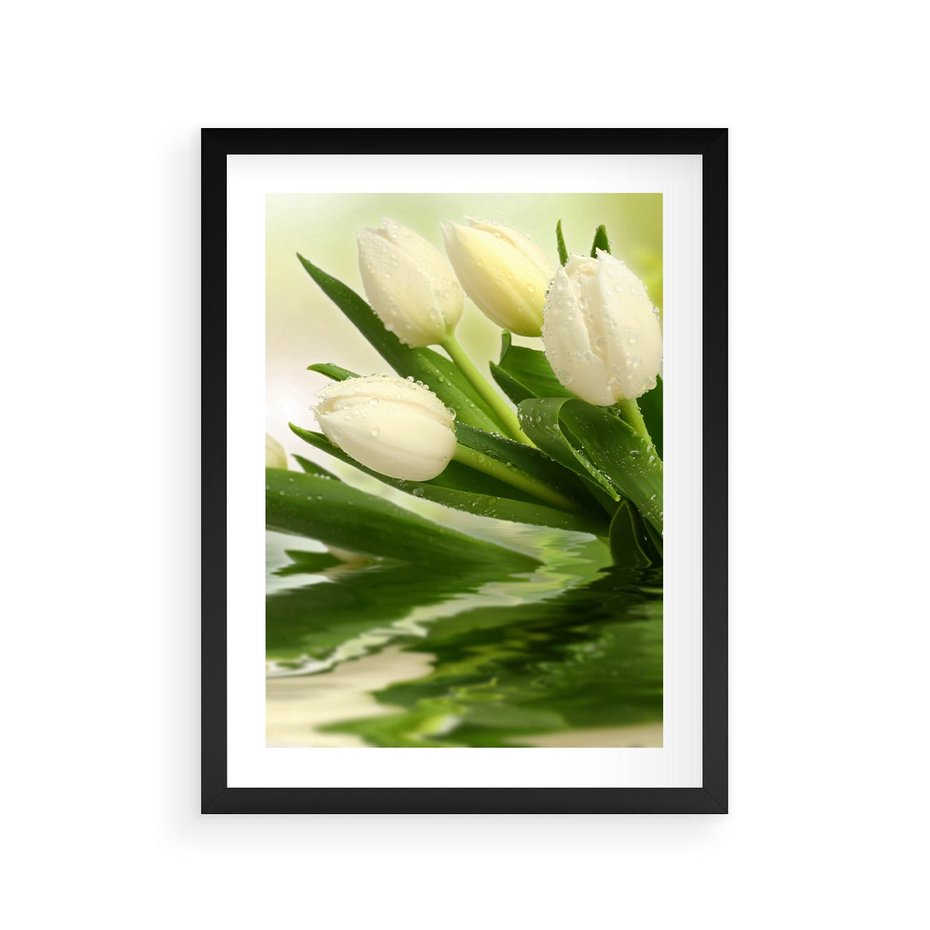 Plakat w ramie 30x40 - Białe Piękno - białe, tulipany - rama czarna