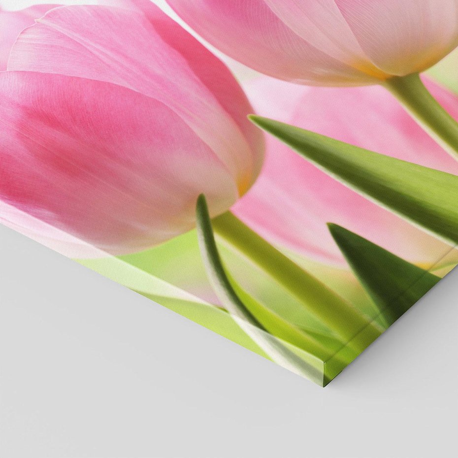 Obraz na płótnie 120x80 - Kwiaty w pełnym rozkwicie - kwiat, Kwiaty