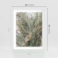 Plakat w ramie 40x50 - Egzotyczny Świat Palm - palmy, liście palmy - rama biała