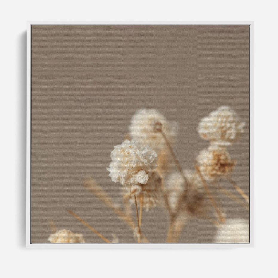 Obraz w ramie 80x80 - Przezroczyste piękno - gipsówka, suche - rama biała