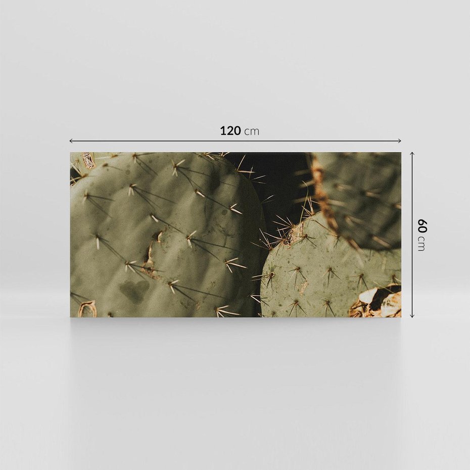 Obraz na płótnie 120x60 - Urok Egzotyki - kaktusy, boho