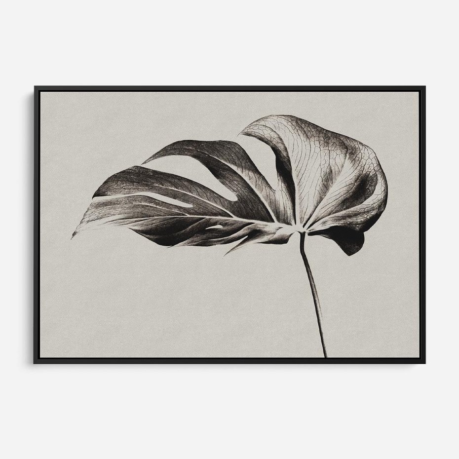 Obraz w ramie 100x70 - Szepczący Liść - szkic, czarno biały - rama czarna