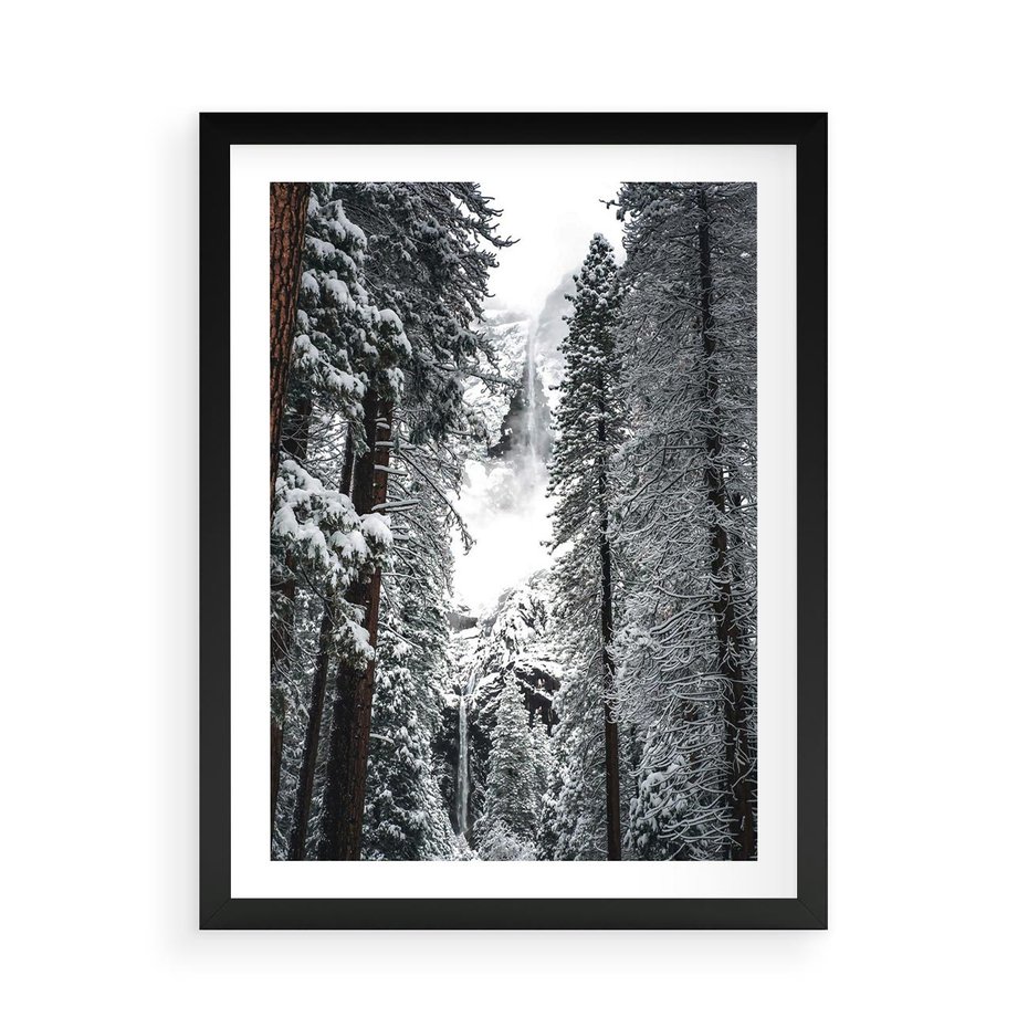 Plakat w ramie 50x70 - Cicha Magia Zimowego Lasu - zimowy las, ośnieżone drzewa - rama czarna