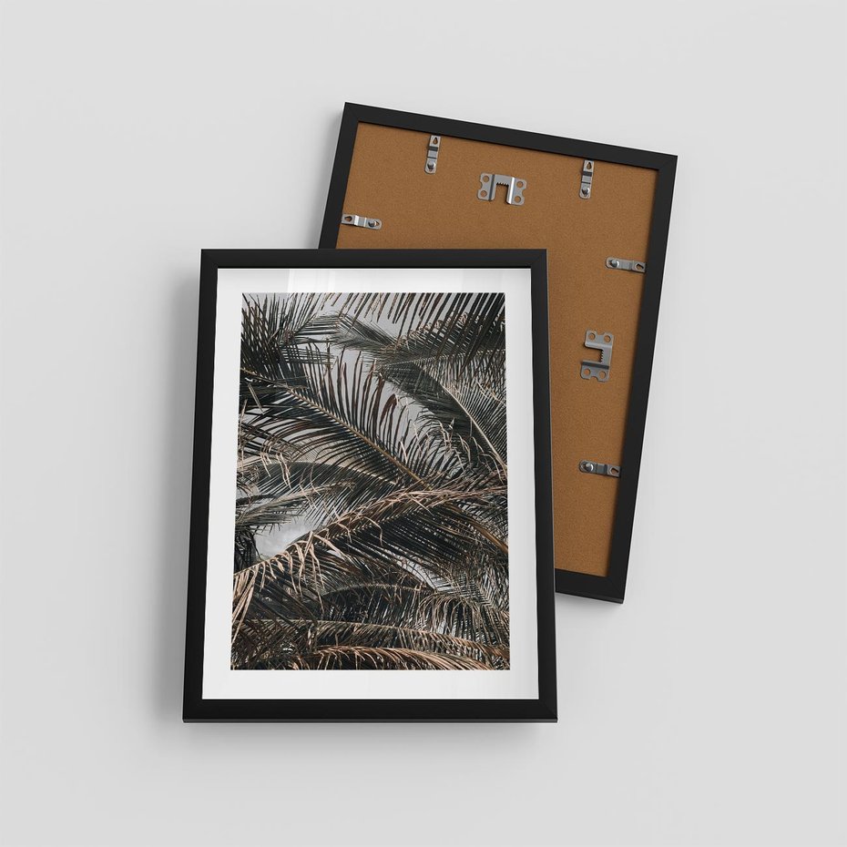 Plakat w ramie 30x40 - Liściaste Palmy - palmy, drzewa palmowe - rama czarna