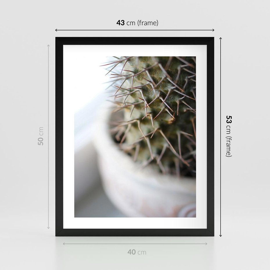 Plakat w ramie 40x50 - Kaktus w Zbliżeniu - kaktus, igły - rama czarna
