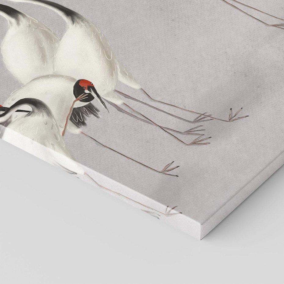 Obraz na płótnie 30x30 - Spojrzenie wstecz w pędzlu - szkic rysunek, japońskie żurawie