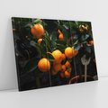 Obraz na płótnie 120x80 - Mandarynki Drzewko Urodzaju - mandarynki, drzewko