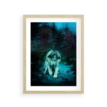 Plakat w ramie 50x70 - Siła i wdzięk natury - wilk, husky - rama drewno