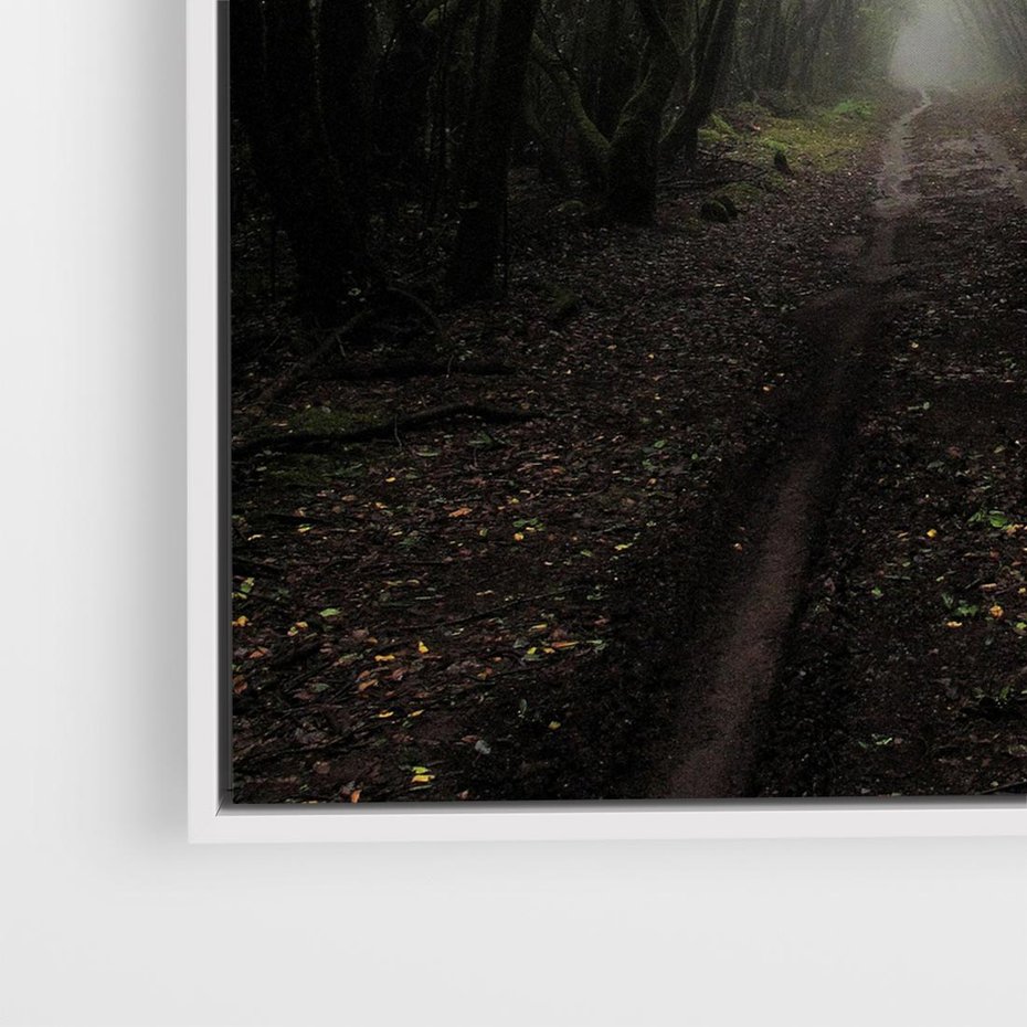 Obraz w ramie 50x50 - Urok Drogi - las, droga - rama biała