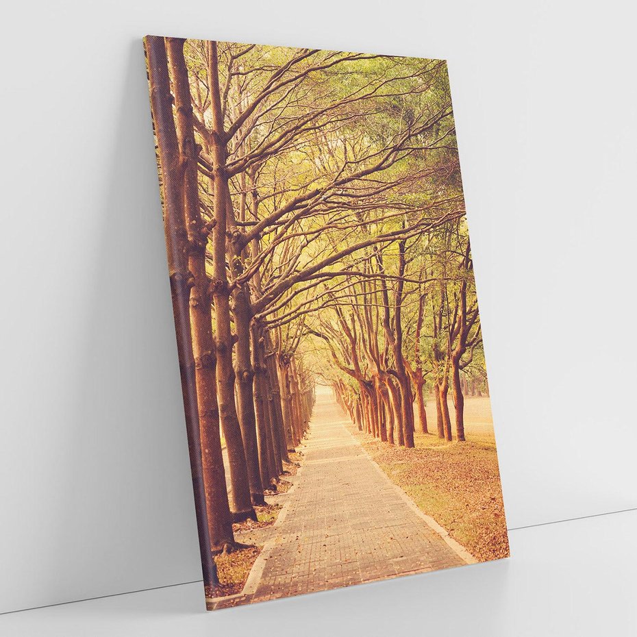 Obraz na płótnie 80x120 - Wędrówka między drzewami - droga, drzewa