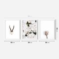 Zestaw obrazy w ramie 30x40 galeria - Kwiaty, boho, styl, minimalizm - rama biała
