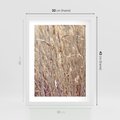 Plakat w ramie 30x40 - Suche Trawy w Wyjątkowym Stylu - suche trawy, boho styl - rama biała