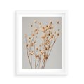 Plakat w ramie 40x50 - Delikatne gipsówki - gipsówka, suche - rama biała