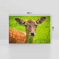 Obraz na płótnie 120x80 - Sarna na łące - sarna, zwierzę