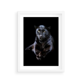 Plakat w ramie 40x50 - Czarna pantera: majestat i siła - czarna, pantera - rama biała