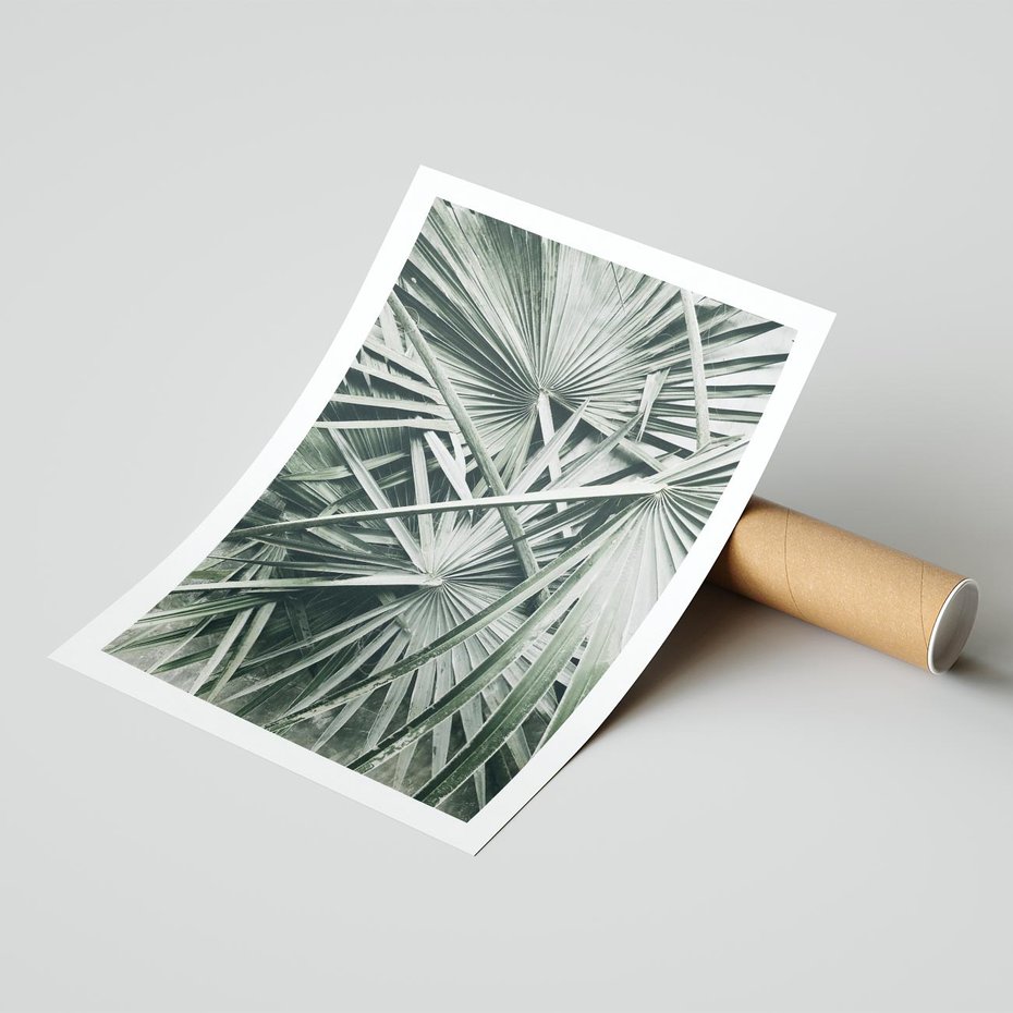 Plakat bez ramy 21x30 - Palmy w Zgaszonej Zieleni - palmy, tropikalne liście