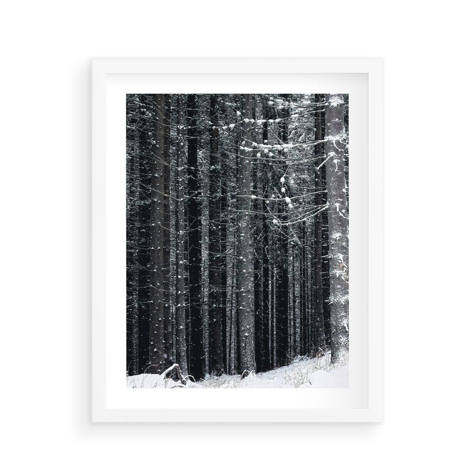Plakat w ramie 40x50 - Leśna Cisza: Malowniczy Pejzaż Zimą - las zimą, ośnieżone pnie drzew - rama biała