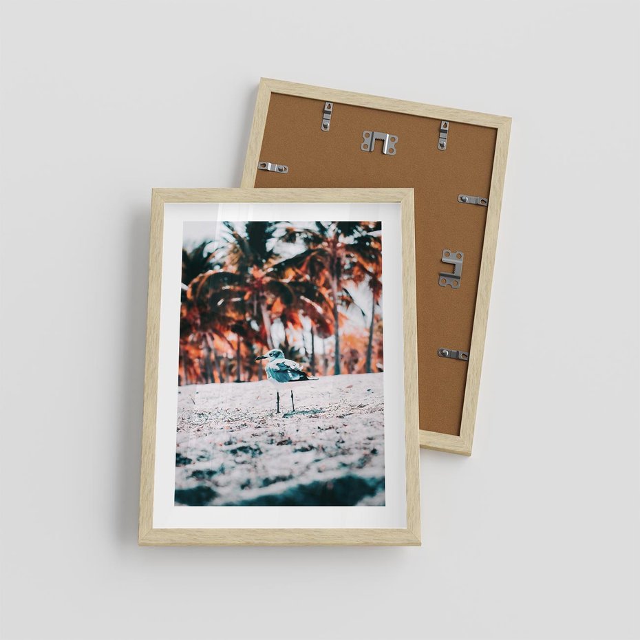 Plakat w ramie 30x40 - Tropikalna Uroda: Plaża z Mewą - tropikalna plaża, mewa na piasku - rama drewno