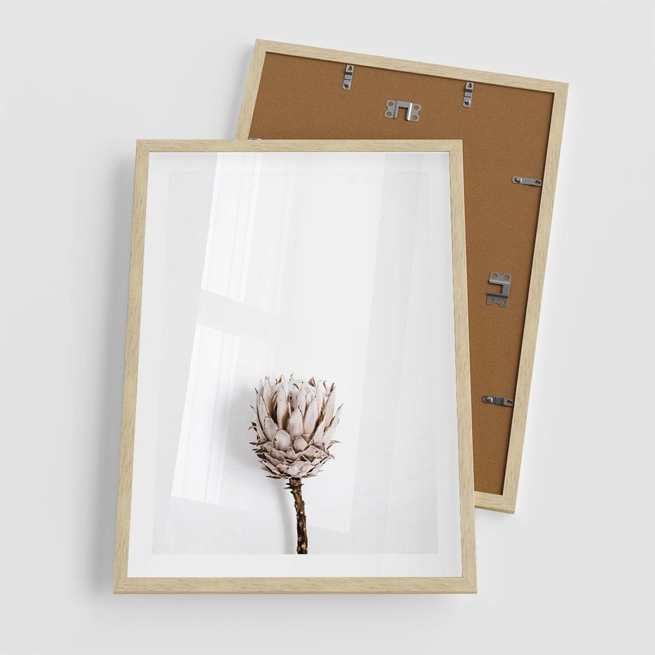 Plakat w ramie 50x70 - Suszona Roślina na Białym Tle - minimalizm, suszona roślina - rama drewno