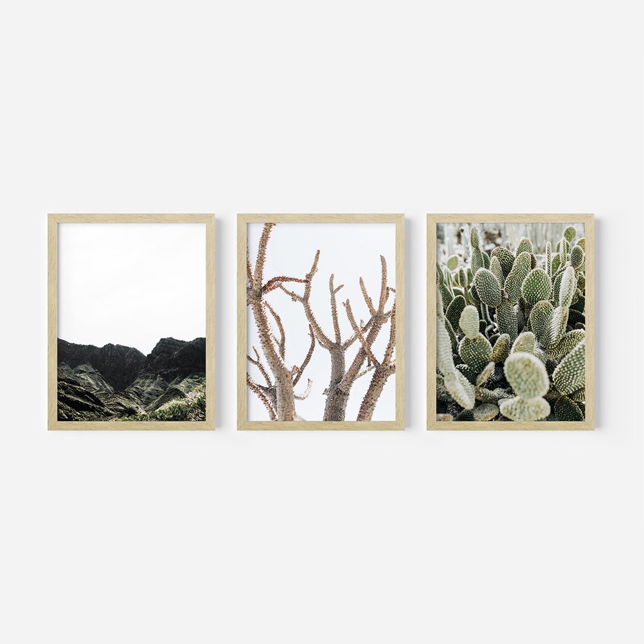 Zestaw obrazy w ramie 40x50 galeria - Pustynia, kaktusy, zieleń, boho - rama drewno