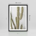Plakat w ramie 50x70 - Kaktus w Stylu Boho - kaktus, roślina tropikalna - rama czarna