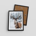 Plakat w ramie 30x40 - Jeleń na Zdjęciu pod Śniegiem - jeleń, zima - rama czarna