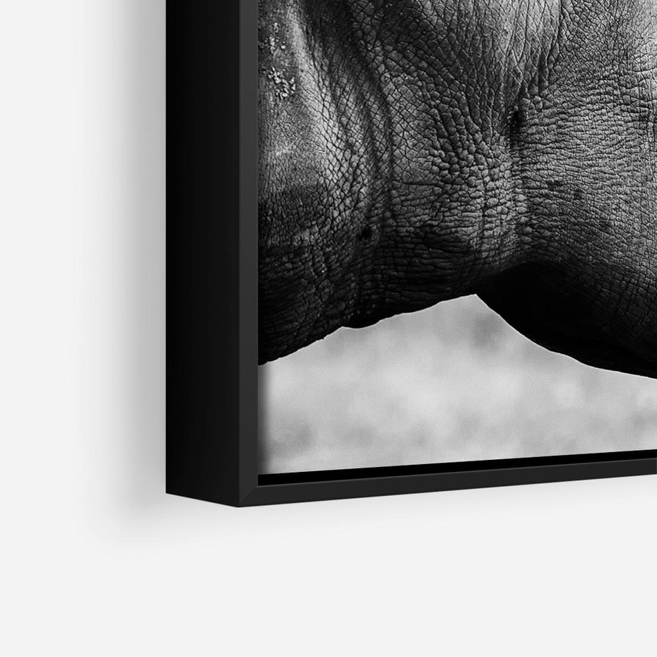Obraz w ramie 50x50 - Potęga Afryki - czarno biała fotografia, zbliżenie na postać nosorożca - rama czarna