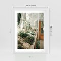 Plakat w ramie 30x40 - Sukulenty w Szklarni - sukulenty, w szklarni - rama biała