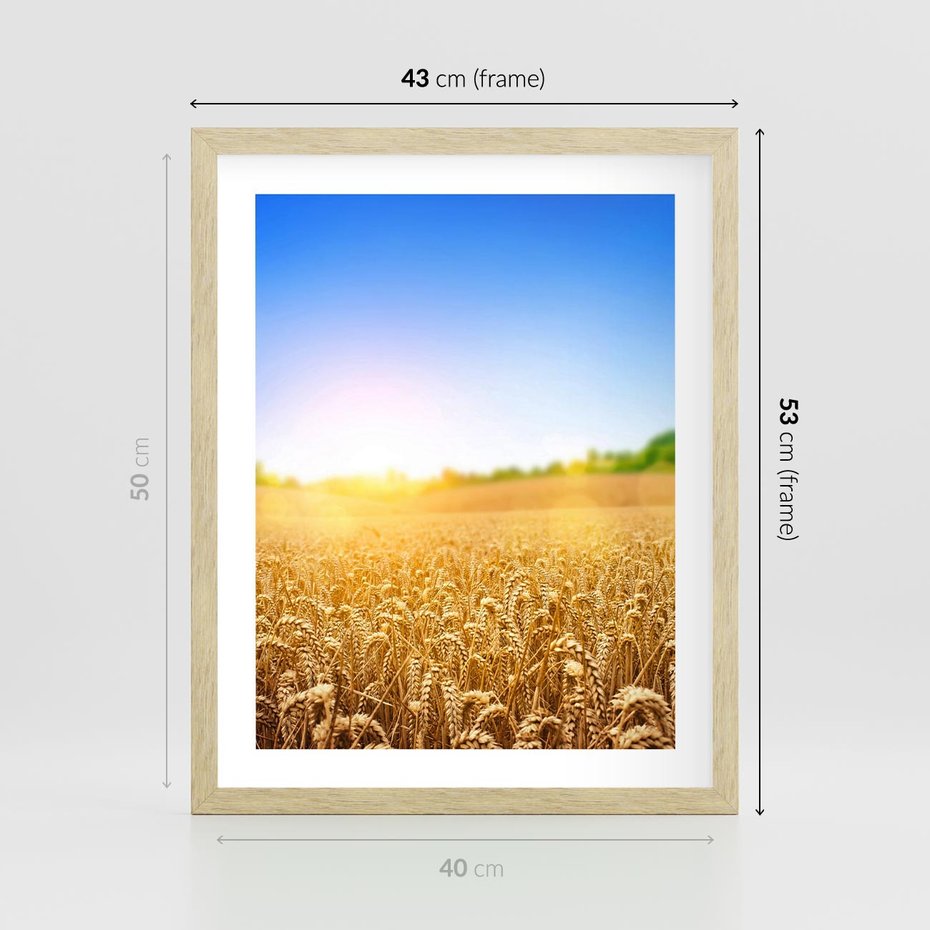 Plakat w ramie 40x50 - Żyzne Pola - pole, pszenicy - rama drewno