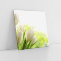 Obraz na płótnie 40x40 - delikatność kwiatów - tulipany, kwiat