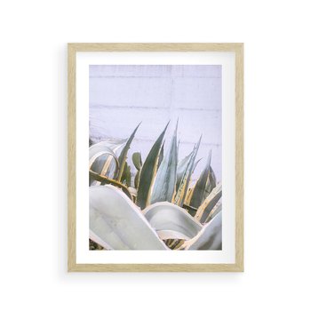 Plakat w ramie 50x70 - Sukulentowe liście - liście, sukulenty - rama drewno
