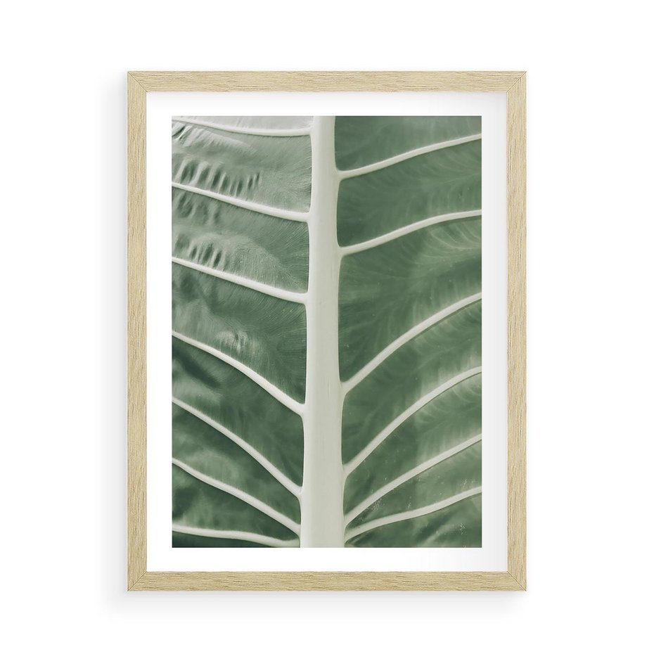 Plakat w ramie 50x70 - Zielone Wielkości: Zbliżenie Liścia - zbliżenie duz liść, jasna zieleń - rama drewno