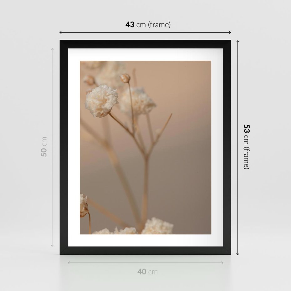 Plakat w ramie 40x50 - Subtelna gipsówka - gipsówka, suche - rama czarna