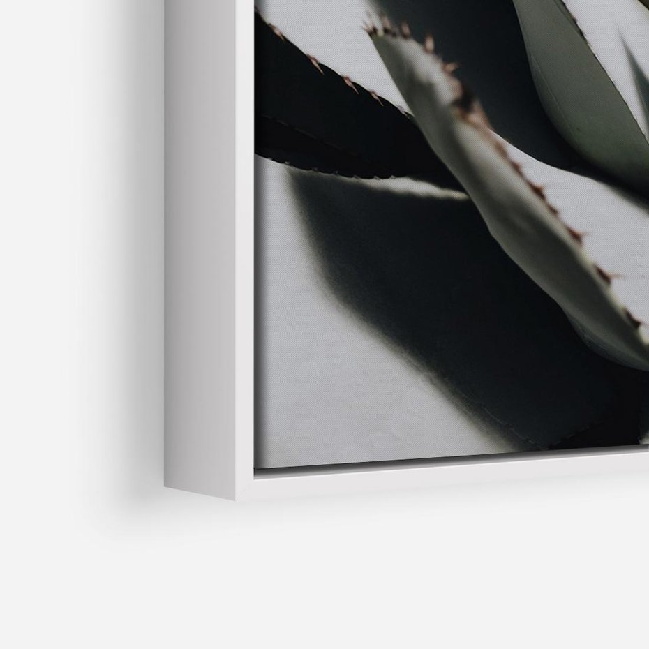 Obraz w ramie 70x50 - Sukulenty wśród kaktusów - sukulenty, kaktusy - rama biała